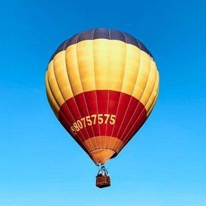 紅眼白子銀板魚10℃能存活嗎（紅眼白子銀板魚低溫生存極限探究）