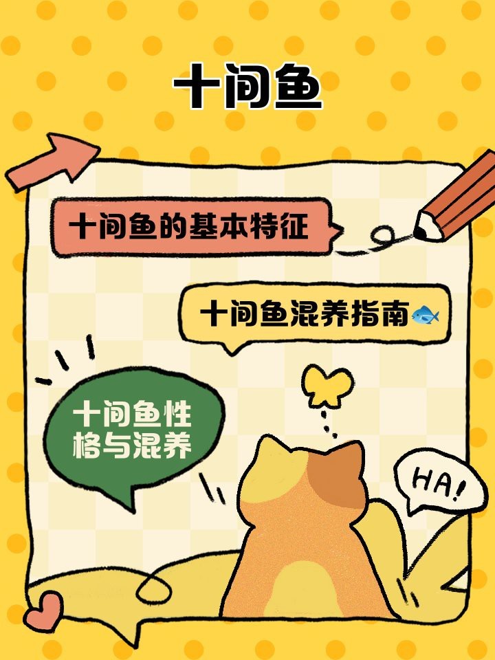 非洲十間魚好養嗎（非洲十間魚:顏值與性格并存的神奇魚類）