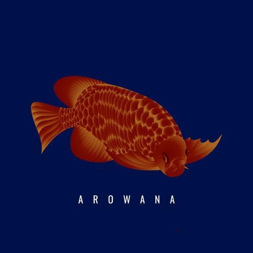 紅龍魚(yú)圖片高清壁紙可愛(ài)卡通（紅龍魚(yú)圖片高清壁紙可愛(ài)卡通,以下是為您整理的紅龍魚(yú)相關(guān)卡通）