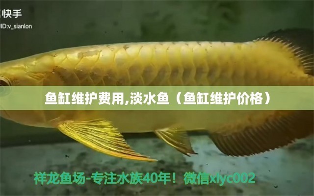 曲陽縣靚點水族館（曲陽縣靚點水族館電話）（曲陽縣靚點水族館）