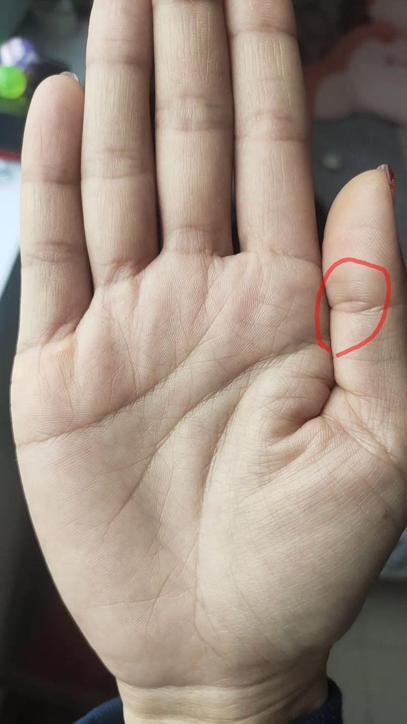 能否提供龍眼紋者的手相圖片？（能否提供龍眼紋者的手相圖片）