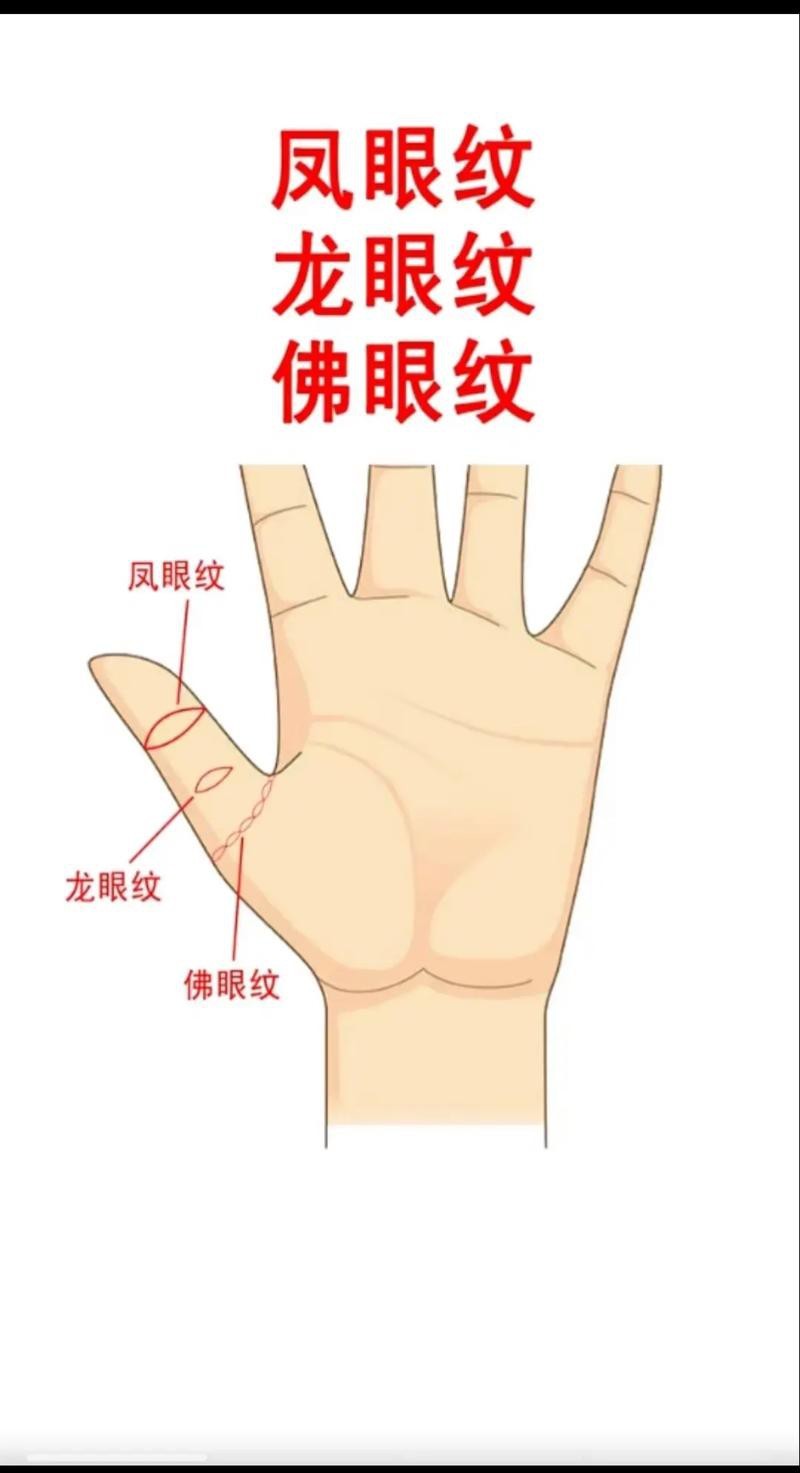 能否提供龍眼紋者的手相圖片？（能否提供龍眼紋者的手相圖片）
