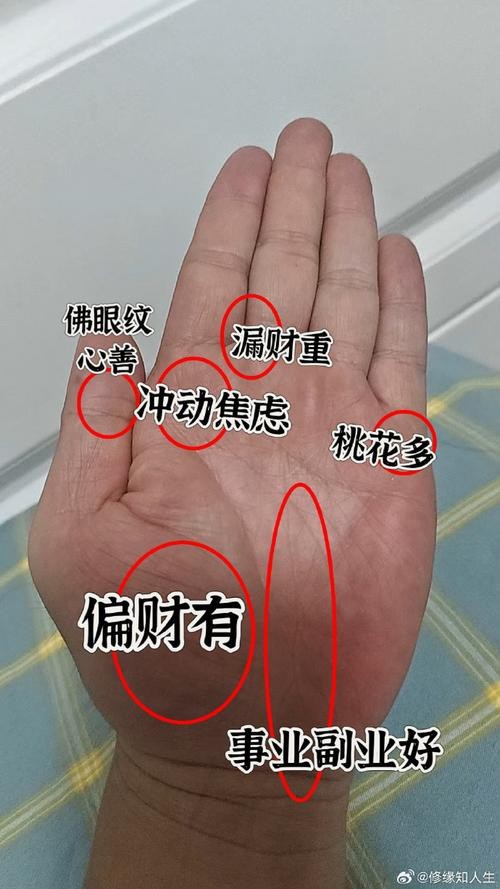 能否提供龍眼紋者的手相圖片？（能否提供龍眼紋者的手相圖片）