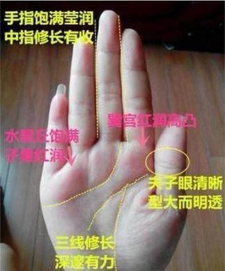 能否提供龍眼紋者的手相圖片？（能否提供龍眼紋者的手相圖片）