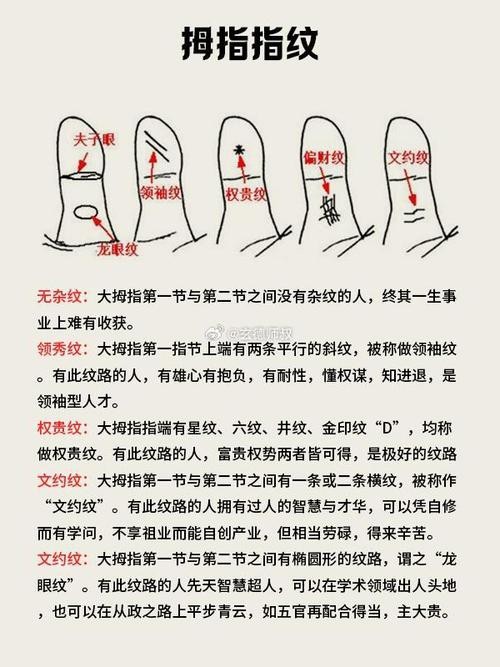 能否提供龍眼紋者的手相圖片？（能否提供龍眼紋者的手相圖片）