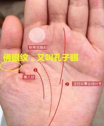 能否提供龍眼紋者的手相圖片？（能否提供龍眼紋者的手相圖片）