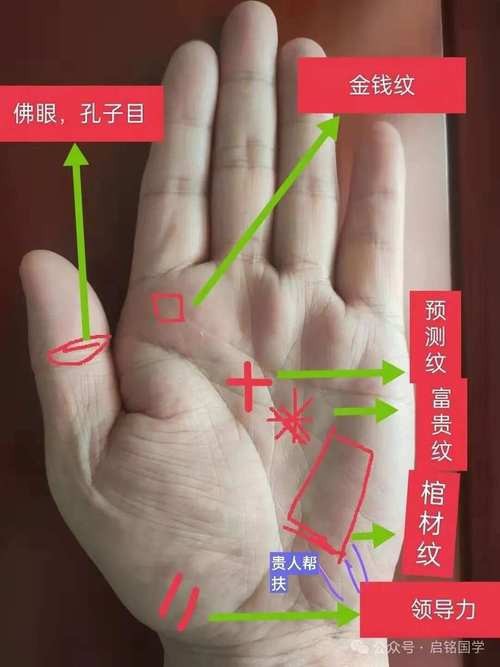 能否提供龍眼紋者的手相圖片？（能否提供龍眼紋者的手相圖片）