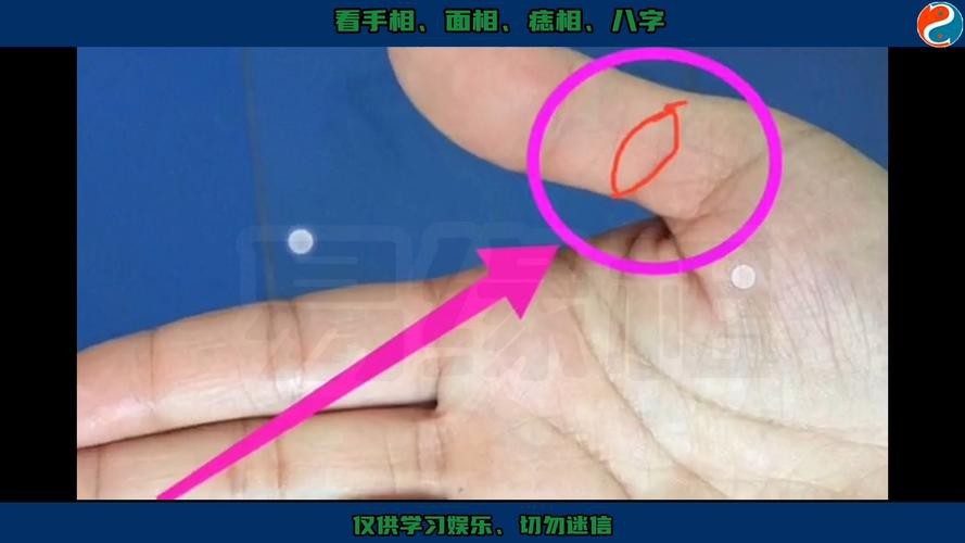 能否提供龍眼紋者的手相圖片？（能否提供龍眼紋者的手相圖片）