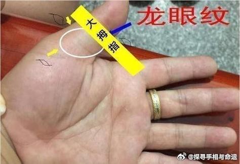能否提供龍眼紋者的手相圖片？（能否提供龍眼紋者的手相圖片）