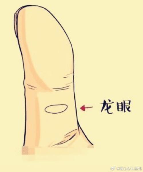 能否提供龍眼紋者的手相圖片？（能否提供龍眼紋者的手相圖片）