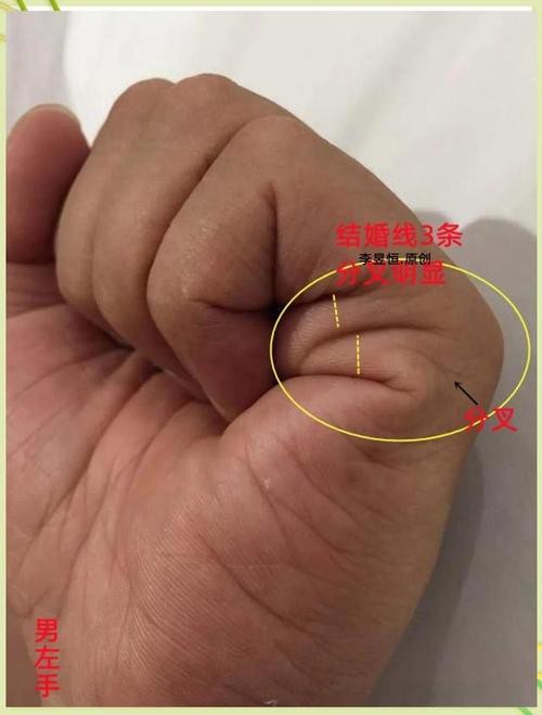 能否提供龍眼紋者的手相圖片？（能否提供龍眼紋者的手相圖片）