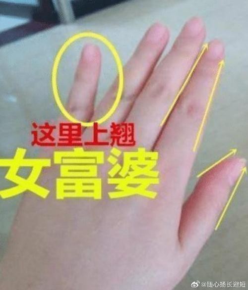 能否提供龍眼紋者的手相圖片？（能否提供龍眼紋者的手相圖片）