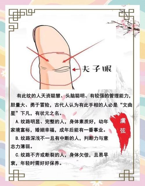 能否提供龍眼紋者的手相圖片？（能否提供龍眼紋者的手相圖片）