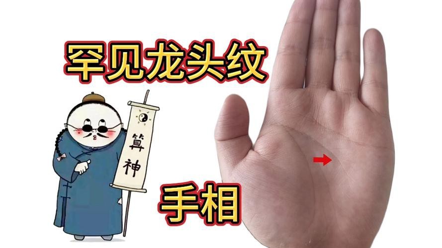 能否提供龍眼紋者的手相圖片？（能否提供龍眼紋者的手相圖片）