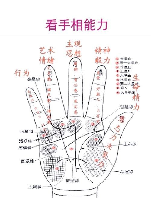 能否提供龍眼紋者的手相圖片？（能否提供龍眼紋者的手相圖片）