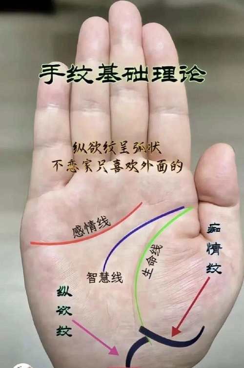 能否提供龍眼紋者的手相圖片？（能否提供龍眼紋者的手相圖片）