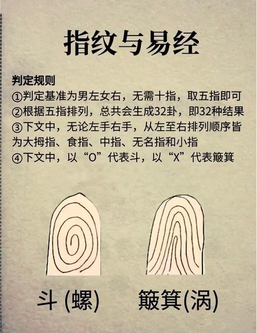 能否提供龍眼紋者的手相圖片？（能否提供龍眼紋者的手相圖片）