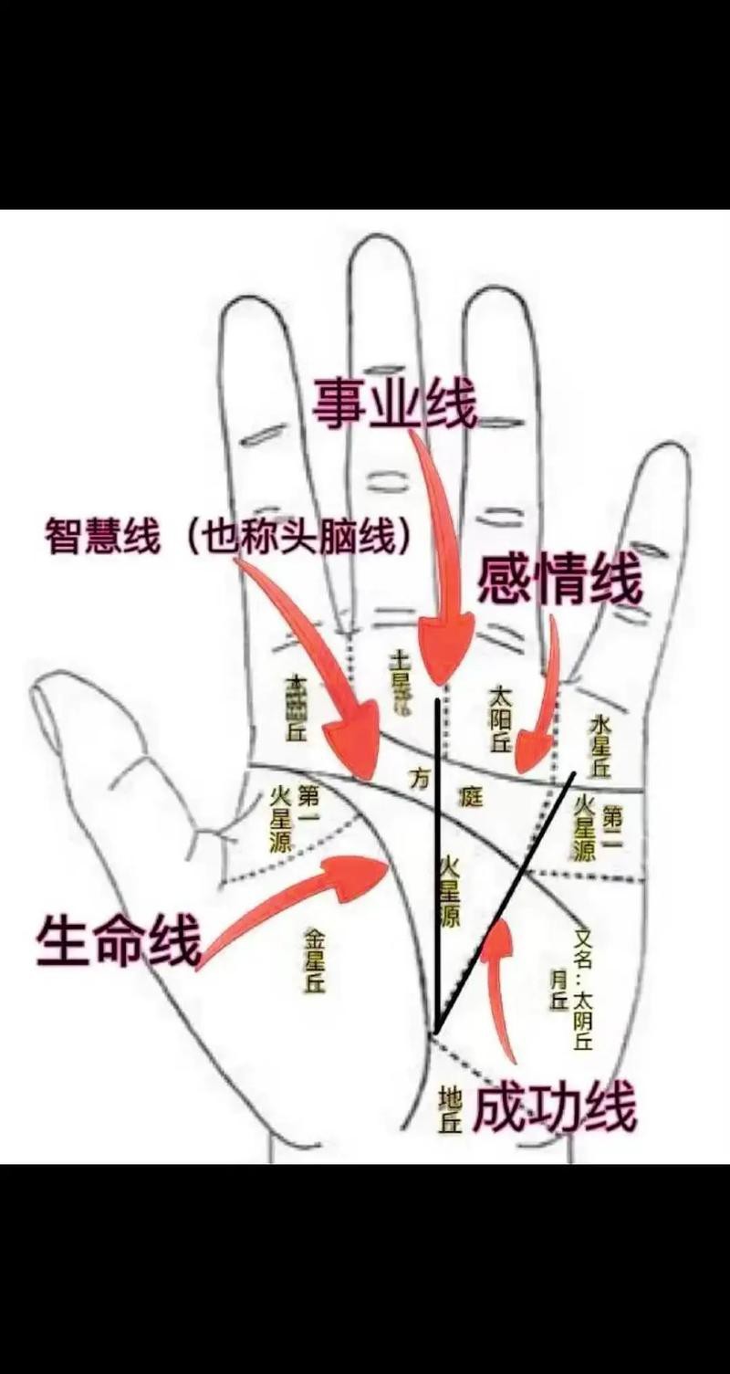 能否提供龍眼紋者的手相圖片？（能否提供龍眼紋者的手相圖片）