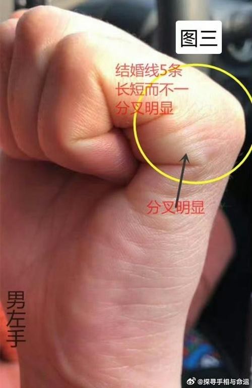 能否提供龍眼紋者的手相圖片？（能否提供龍眼紋者的手相圖片）