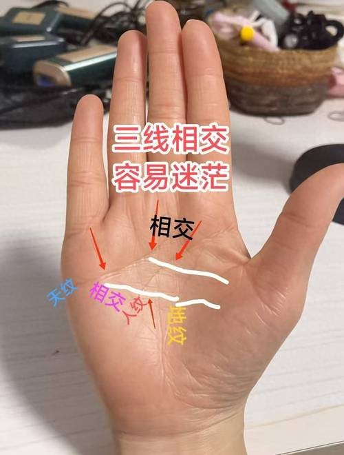 能否提供龍眼紋者的手相圖片？（能否提供龍眼紋者的手相圖片）
