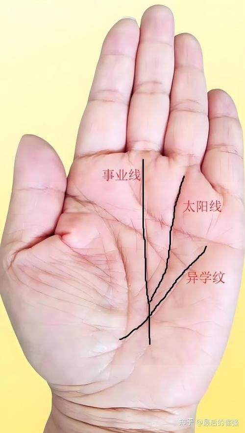 能否提供龍眼紋者的手相圖片？（能否提供龍眼紋者的手相圖片）