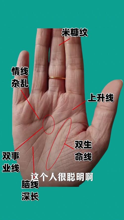 能否提供龍眼紋者的手相圖片？（能否提供龍眼紋者的手相圖片）