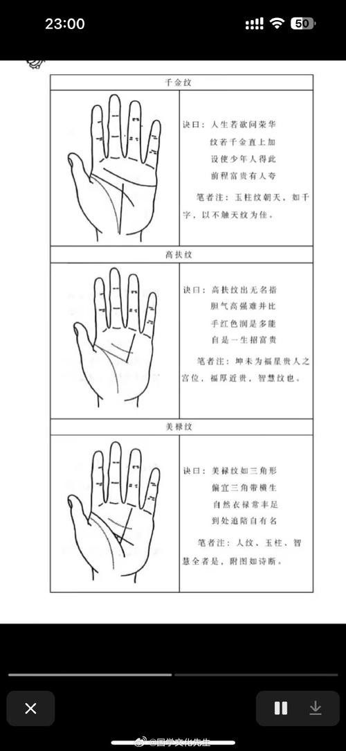 能否提供龍眼紋者的手相圖片？（能否提供龍眼紋者的手相圖片）