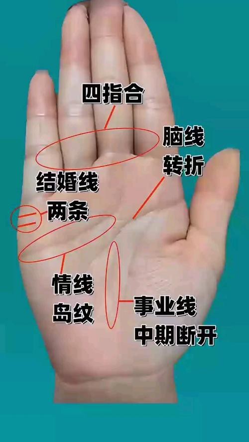 能否提供龍眼紋者的手相圖片？（能否提供龍眼紋者的手相圖片）