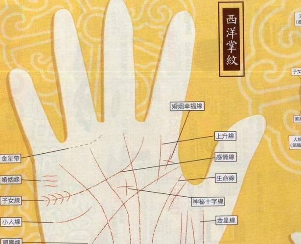 能否提供龍眼紋者的手相圖片？（能否提供龍眼紋者的手相圖片）