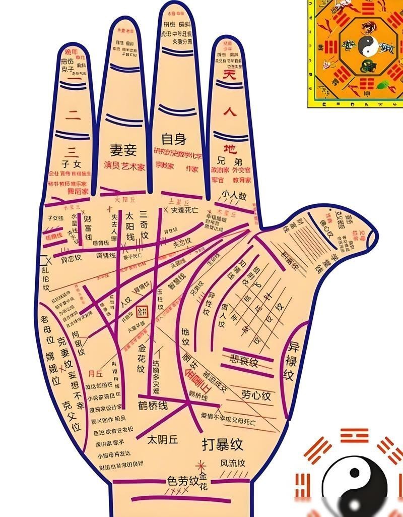 能否提供龍眼紋者的手相圖片？（能否提供龍眼紋者的手相圖片）