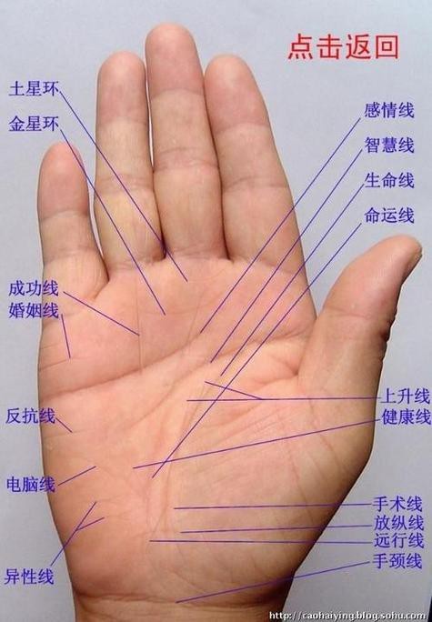 能否提供龍眼紋者的手相圖片？（能否提供龍眼紋者的手相圖片）