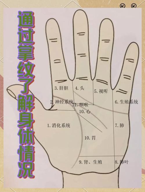 能否提供龍眼紋者的手相圖片？（能否提供龍眼紋者的手相圖片）
