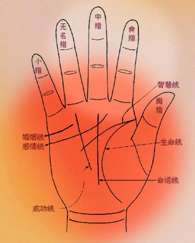 能否提供龍眼紋者的手相圖片？（能否提供龍眼紋者的手相圖片）