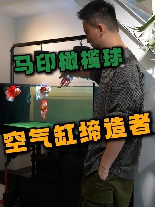 橄欖球?yàn)V材的害處（關(guān)于橄欖球?yàn)V材的潛在及處）