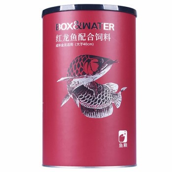 20公分銀龍魚一年長多大(金龍魚一年長多少厘米)（20公分銀龍魚一年長多大(金龍魚一年長多大）