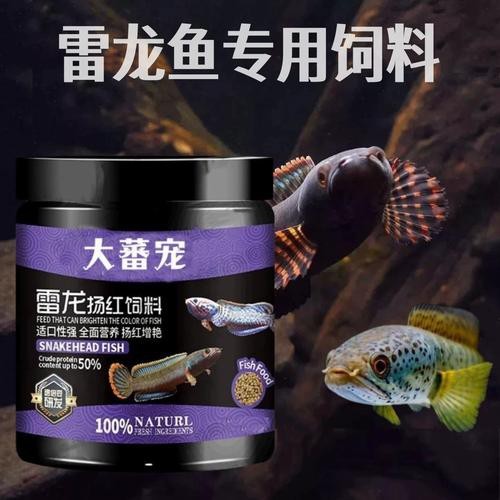 烏魚跟龍魚的區別圖片視頻（烏魚與龍魚區別）