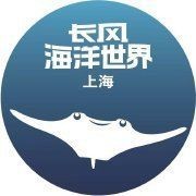 海洋館像笑臉的扁魚是啥（上海長風海洋世界燕子鰩“笑臉”長在肚子上(圖)）