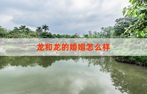 龍生與靜雯的關(guān)系如何發(fā)展？（《龍生與靜雯的關(guān)系發(fā)展》:龍生與靜雯的關(guān)系發(fā)展）