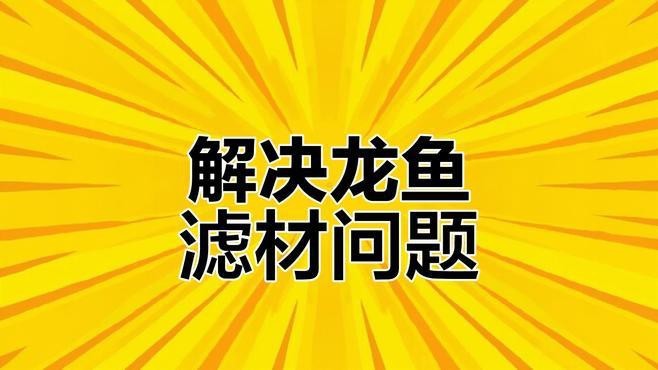 發財龍魚需要多大的過濾系統？（發財龍魚所需過濾系統大小解析）