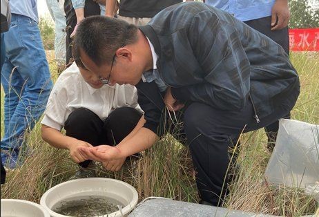 狗頭魚學(xué)名（狗頭魚的學(xué)名是什么？） 狗頭魚學(xué)名（狗頭魚的學(xué)名是什么？） 龍魚論壇 第7張