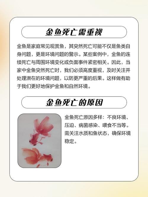 死金龍魚照片（《死金龍魚照片》一張“死金龍魚照片”引發諸多關注與討論）