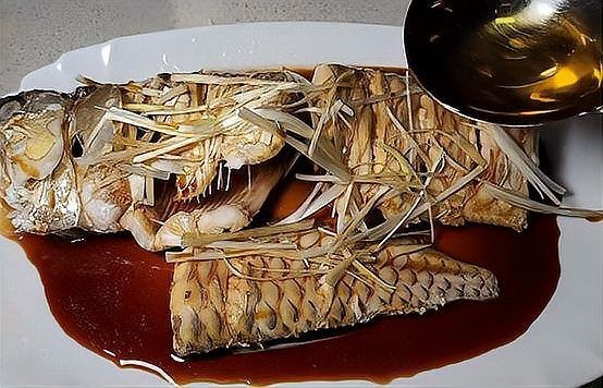 死金龍魚照片（《死金龍魚照片》一張“死金龍魚照片”引發諸多關注與討論）