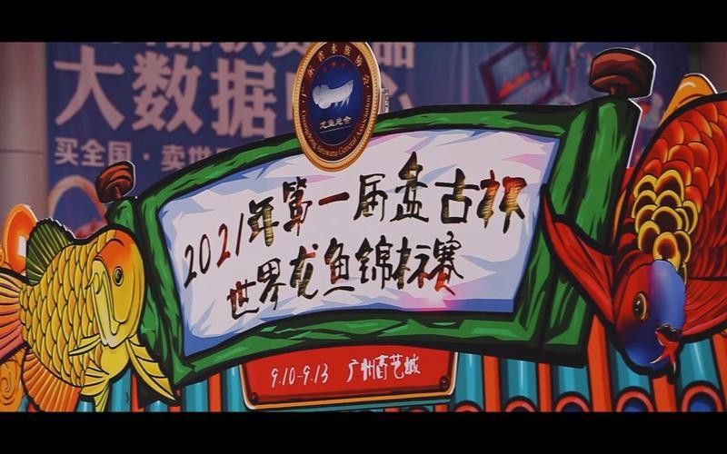 盤古杯世界龍魚錦標賽（“盤古杯”世界龍魚錦標賽，嘟嘟飛蛋糕濾材燃爆了！）