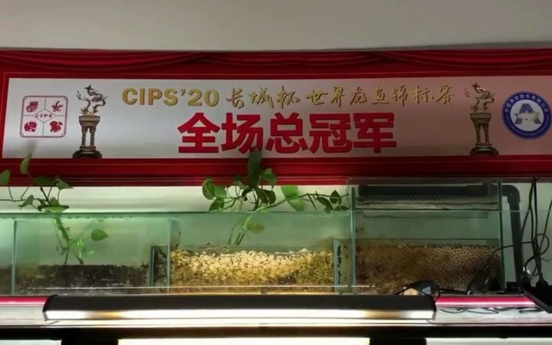盤古杯世界龍魚錦標賽（“盤古杯”世界龍魚錦標賽，嘟嘟飛蛋糕濾材燃爆了！）