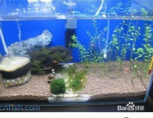 彩蝶魚(yú)缸售后服務(wù)電話號(hào)碼查詢是多少（