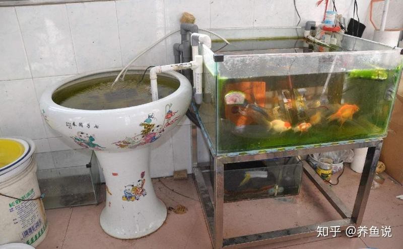 如何判斷是否需要更換底砂？（如何判斷魚缸底砂是否需要更換）