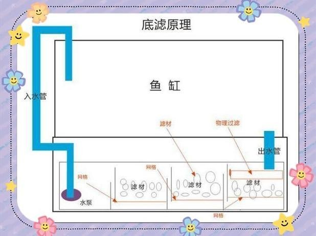銀龍魚缸尺寸圖片欣賞（銀龍魚作為熱帶觀賞魚，其魚缸尺寸的選擇至關重要）
