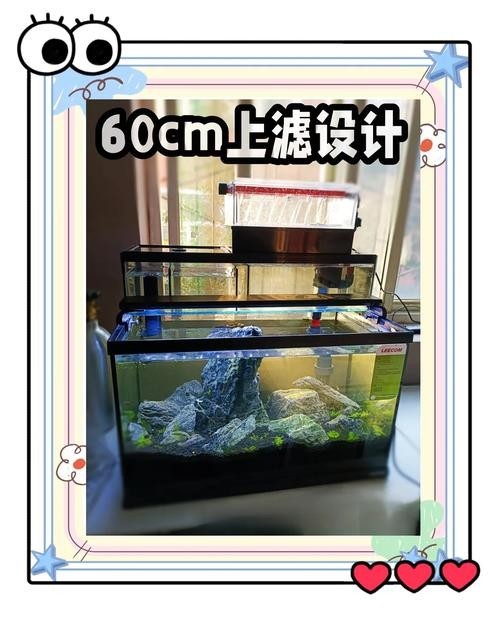 銀龍魚缸尺寸圖片欣賞（銀龍魚作為熱帶觀賞魚，其魚缸尺寸的選擇至關重要）