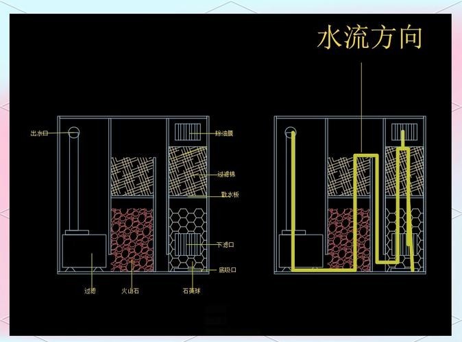 銀龍魚缸尺寸圖片欣賞（銀龍魚作為熱帶觀賞魚，其魚缸尺寸的選擇至關重要）