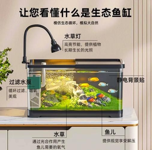 銀龍魚缸尺寸圖片欣賞（銀龍魚作為熱帶觀賞魚，其魚缸尺寸的選擇至關重要）